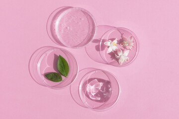 Facial serum or gel with hyaluronic acid, flower and leaves in Petri dishes on a pink background. Concept of cosmetics laboratory researches, wellness, beauty and natural cosmetics