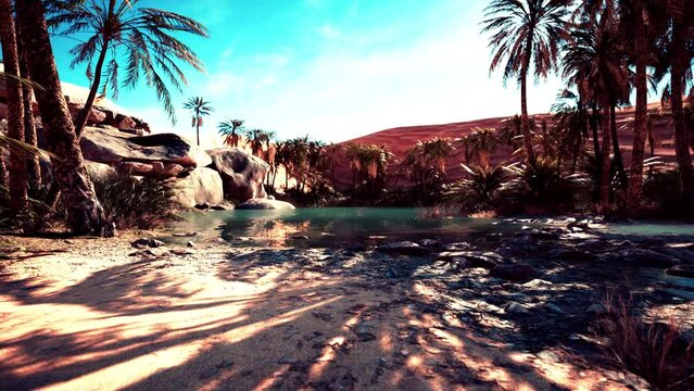 Oasis lake in desert surrounded high yellow sand dunes