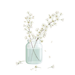 Flowering branches of cherry tree (sakura) in a simple glass jar with water. Cherry blossom in spring. Vector watercolor realistic illustration for room interior design projects.