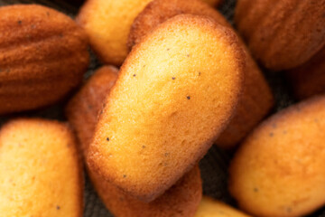 Madeleine goûter petit-déjeuner pâtisserie