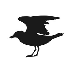 Silhouette of flying seagulls. Hand drawn illustration converted to vector.