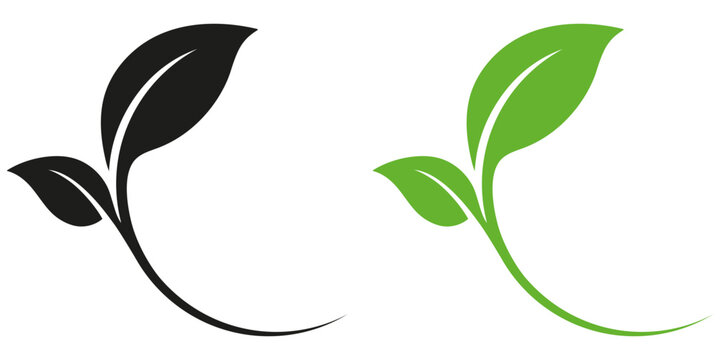 FEUILLES AVEC TIGE ARRONDIE