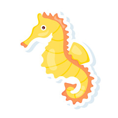 Seahorse 