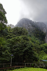 Die tropische Welt von Borneo - Malaysia