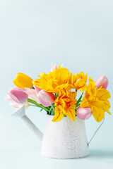 Bouquet of tulips in a vase on  blue background