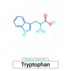 Tryptophan Chemical Structure Essential Amino Acid Organic Molecules, Functional, Side Chain, Carboxyl, Amino Group, Protein Building Block Isolated on Whited Background, Chemistry, Biology