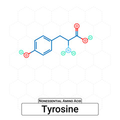Tyrosine Chemical Structure Non-Essential Amino Acid Organic Molecules, Functional, Side Chain, Carboxyl, Amino Group, Protein Building Block Isolated on Whited Background, Chemistry, Biology