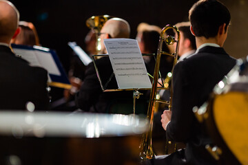 Members of a musical band seen from behind during a concert in the theatre - 568737682
