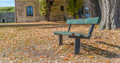 Green wooden autumn bench with lot of leaves on the ground - 568738281