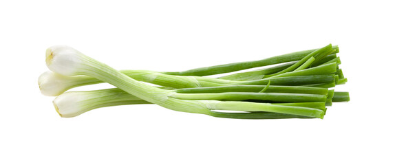 Green onion isolated on transparent png