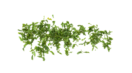 Dried parsley isolated on transparent png