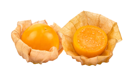 Cape gooseberry on transparent png