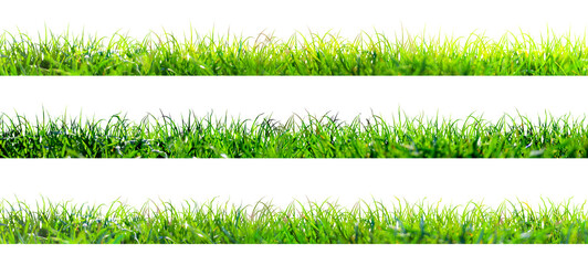 green grass illustration isolated on white background © andreusK
