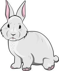 Cartoon bunny.