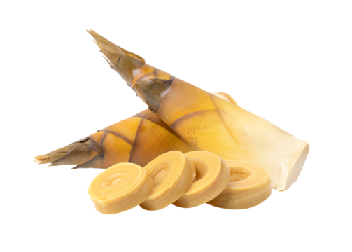 Bamboo Sprouts isolated on transparent png