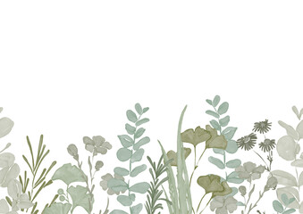 Floral seamless border with watercolor plants and herbs. Ginkgo, rosemary, aloe vera, flax, eucalyptus