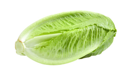 Fototapeta na wymiar Fresh cos lettuce isolated on transparent png
