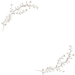 leaves frame with vintage graceful branches with small leaves isolated on PNG white transparent background 01