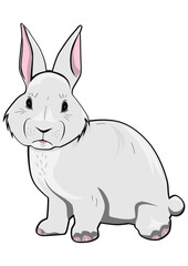 Cartoon Easter bunny. Easy to use vector without gradients or other effects.