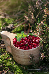 Many ripe lingonberries in wooden cup on sunny day outdoors