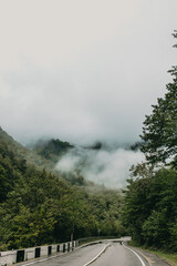 Vertical outdoor picture of wet asphalted curving highway in mountains with forests in early rainy cloudy gray misty foggy morning. Traveling and adventures. Road trip. Beauty of nature