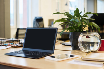Laptop surrounded by flowerpot with green domestic plant, fish tank full of water, digital tablet and other supplies standing on workplace