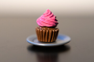 chocolate cupcake with frosting
