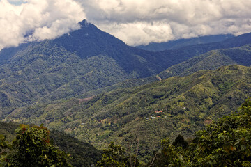 Die wundervolle tropische Welt von Borneo