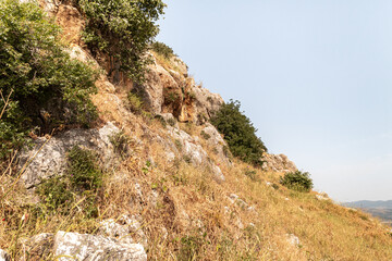Overgrown  with small crooked trees, grass and bushes, the slope of Mount Arbel, located on the...