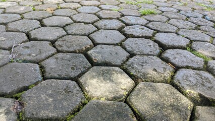 Paver brick flooring is also called brick paving, stone paving or block paving. Manufactured from concrete or stone for walking paths