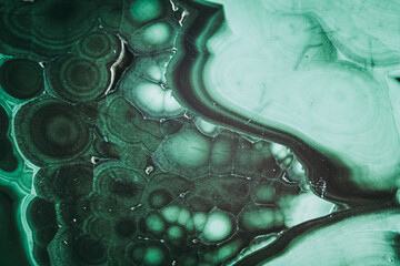 Arrière plan macro de texture d'une pierre semi-précieuse malachite - Espace coloré abstrait	