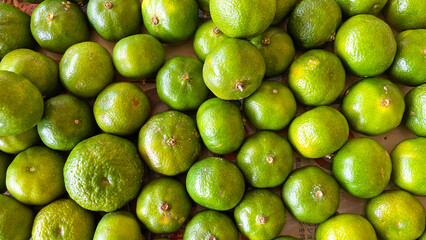 たくさん並べられたシークヮーサー  沖縄 ヒラミレモン 接写 