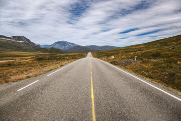 eine menschenleere Straße führt durch die Wildnis in Norwegen