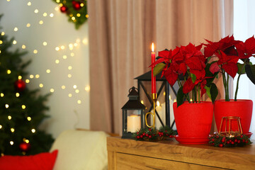 Potted poinsettias, burning candles and festive decor on dresser in room, space for text. Christmas...
