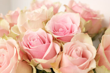 Beautiful bouquet of rose flowers, closeup view