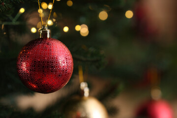 Red Christmas ball hanging on fir tree branch against blurred background, closeup. Space for text