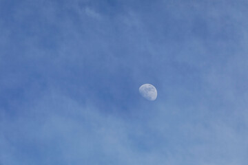 Die wundervolle tropische Welt von Borneo