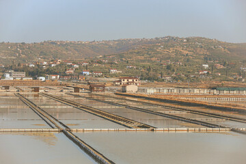 salt industry