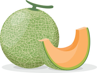 Set of cantaloupe melon fruit isolated on white background