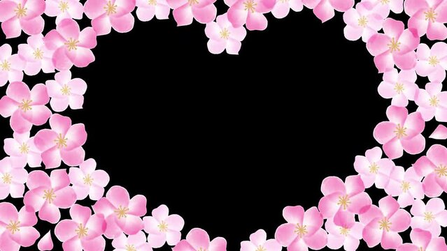 背景透過アルファチャンネル　桜の花のハート形フレームのループアニメーション