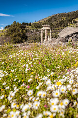 Temple (tholos) of Athena Pronaia Sanctuary in Delphi, Greece