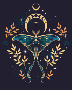 Vector illustration of moon moth. For print for T-shirts and bags, decor element. Mystical and magical, astrology illustration