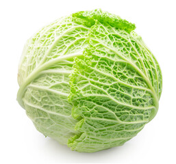 Fototapeta premium Fresh green savoy cabbage isolated on white background. File contains clipping path.