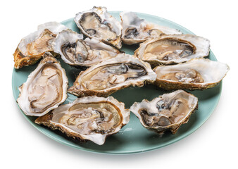 Opened raw oysters on blue plate top view. Delicacy food. File contains clipping path.
