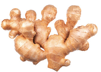 Fresh ginger root. File contains clipping path.