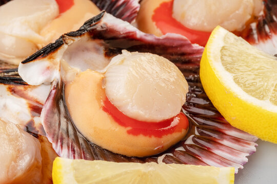 Group of fresh opened scallop with scallop roe or coral with lemon slices close up.