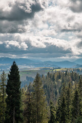 pine trees on the background of mountains and cloudy sky. vertical photo