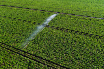 Aerial view of an irrigation system over a potato plantation field. Irrigation in agriculture industry, concept image for times of drought and dryness.