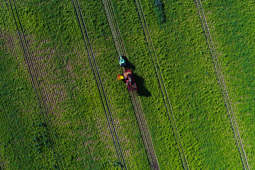Potato harvesting with a heavy industrial machine. Potato plantation in agriculture industry, view from above in the summer season.