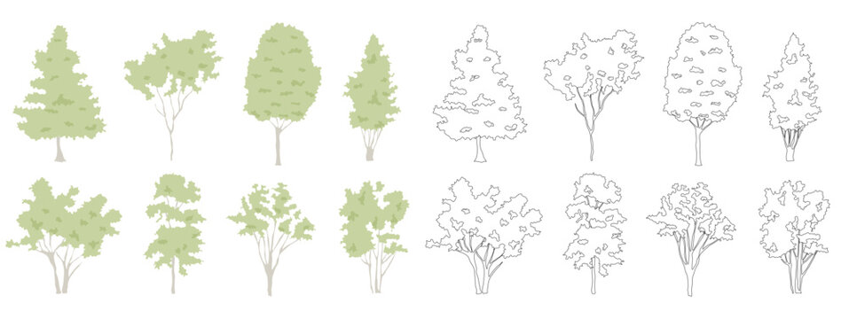 Collection of rough hand drawn illustrations of trees perfect for architectural landscape design